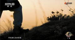 振东健康再登CCTV-1 | 以大健康生态回应时代之问